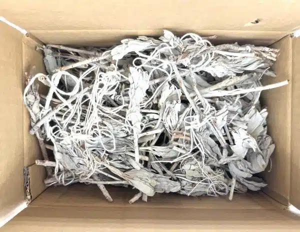 White Sage Tulip Loss (1000g)